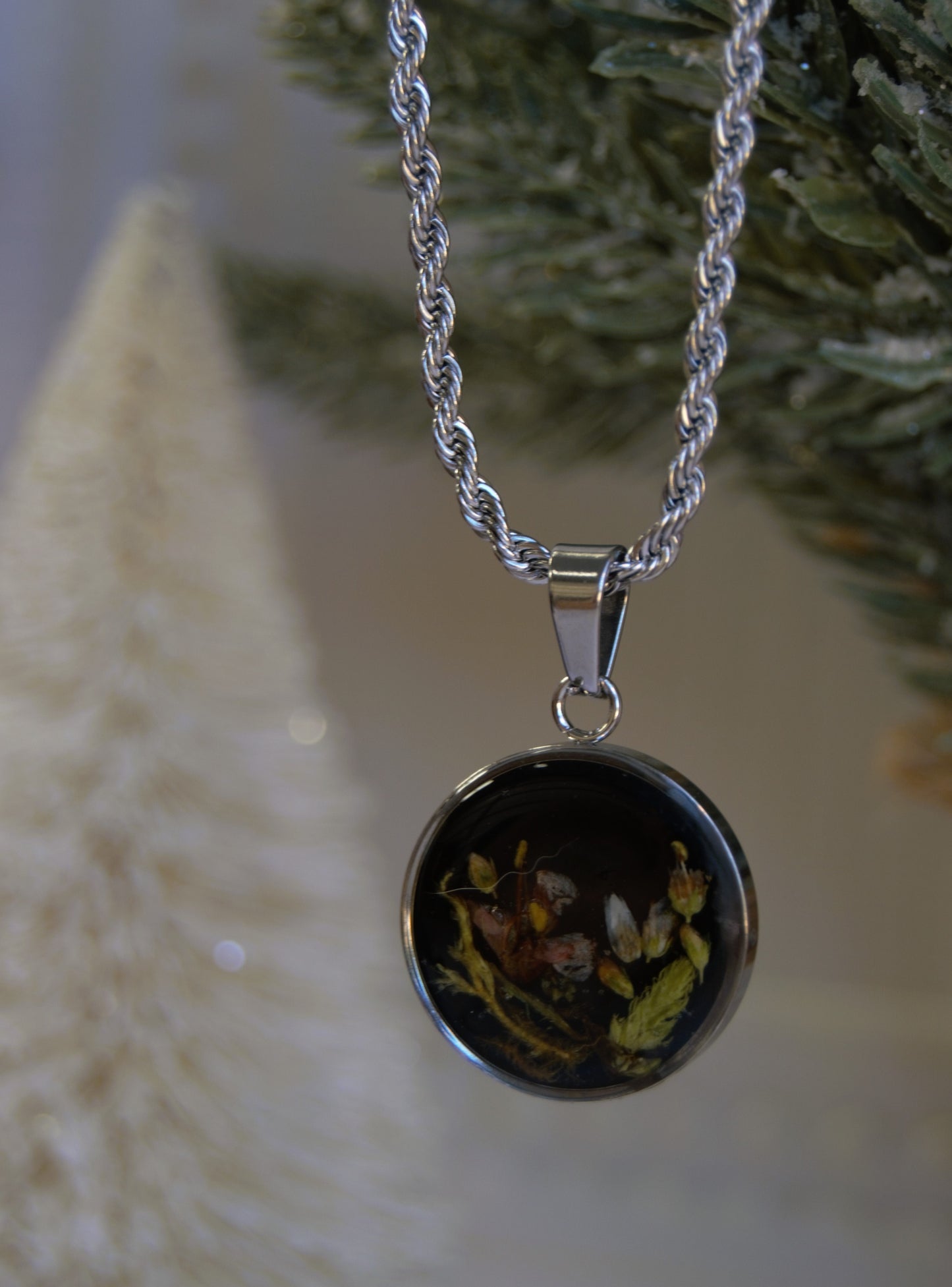 Botanical Plata