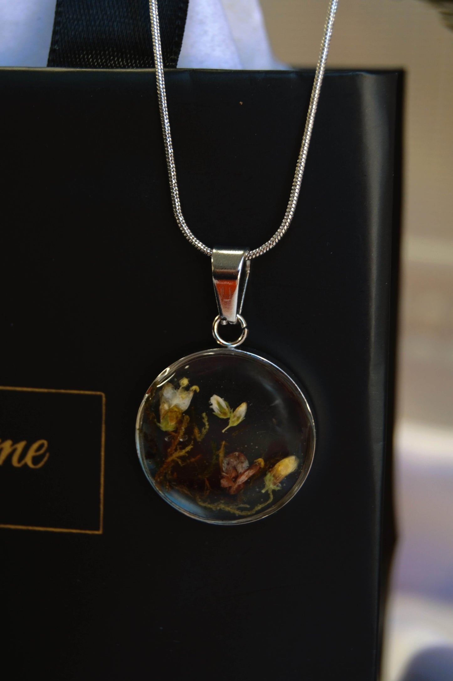 Botanical Plata