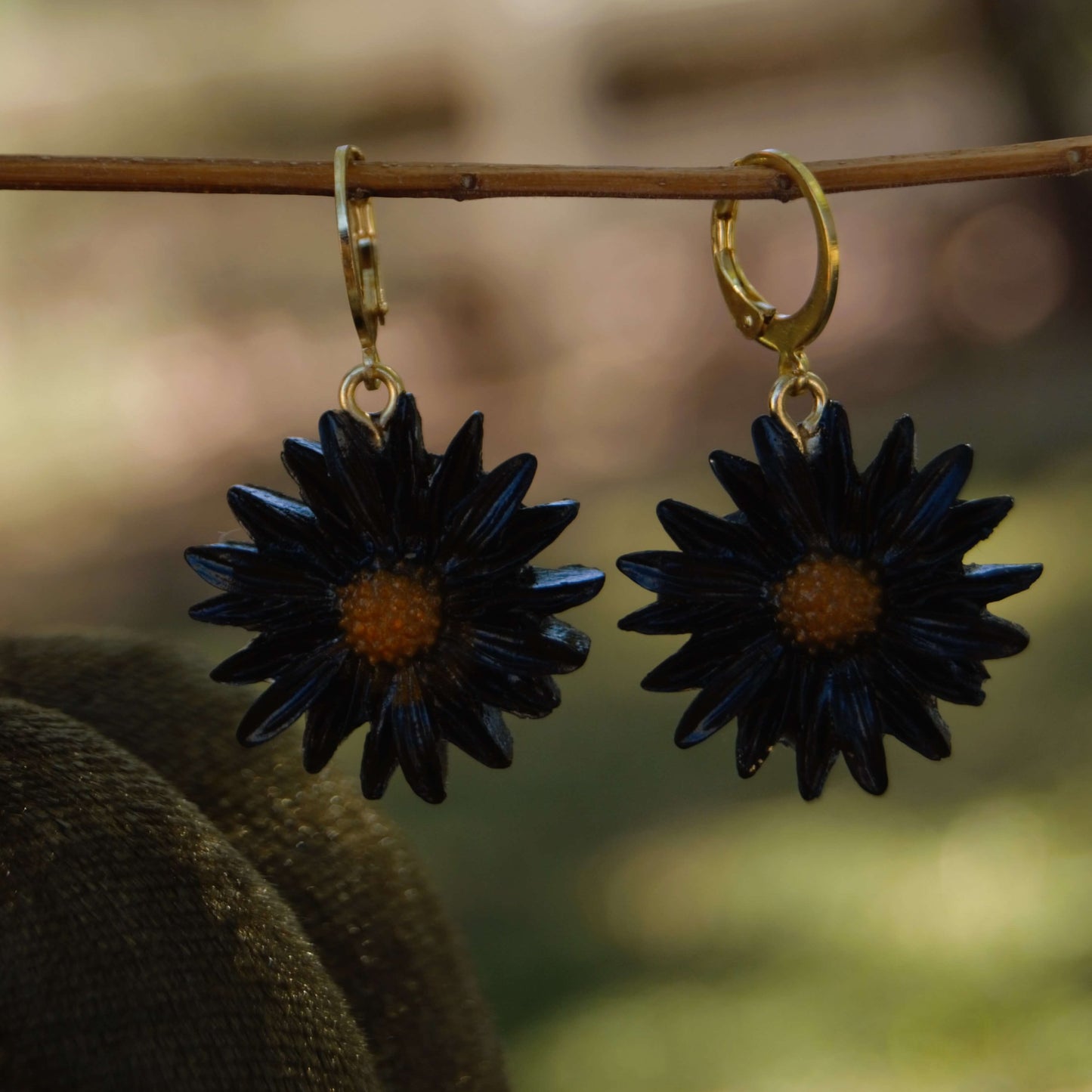 Black Daisy