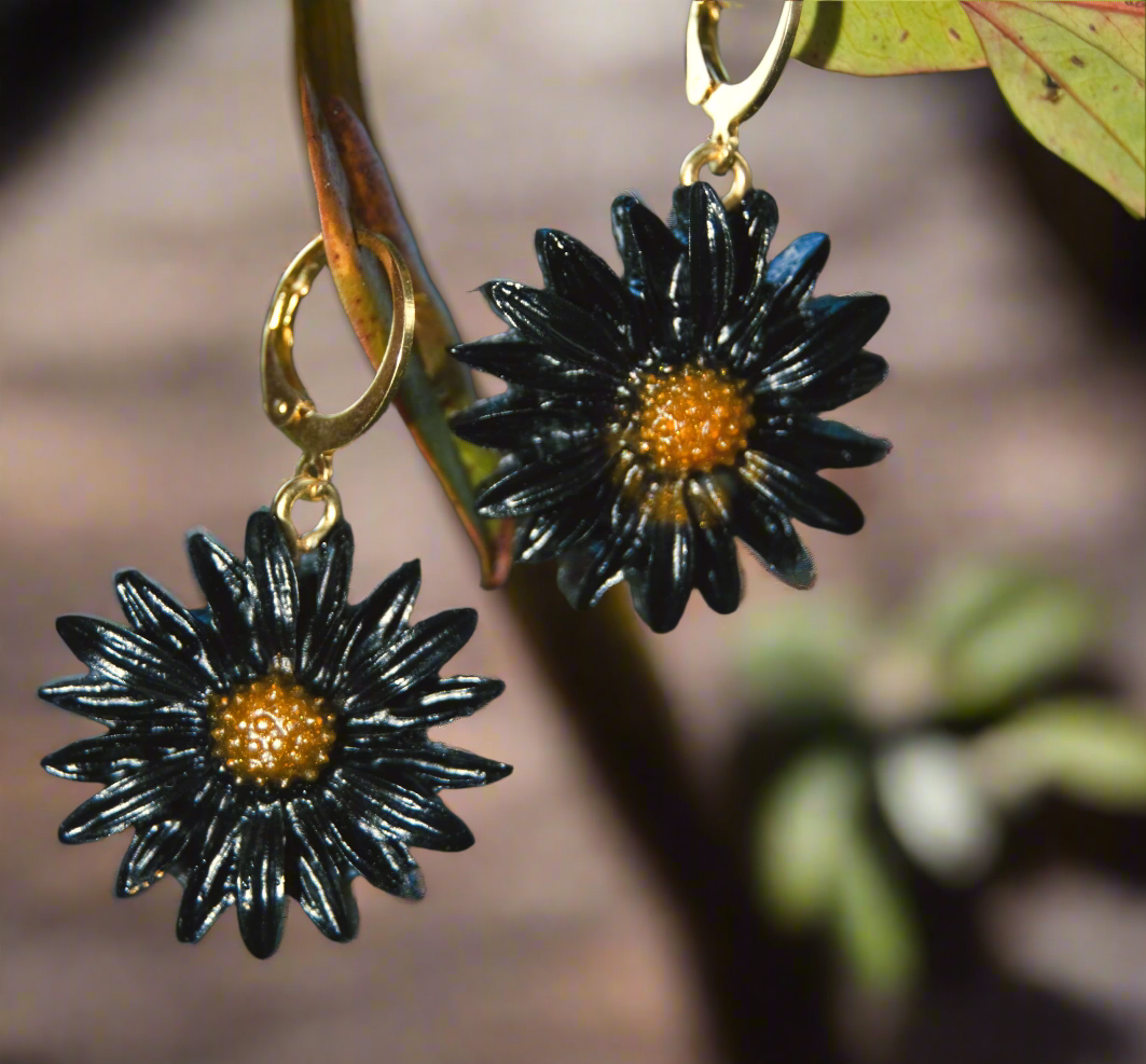 Black Daisy