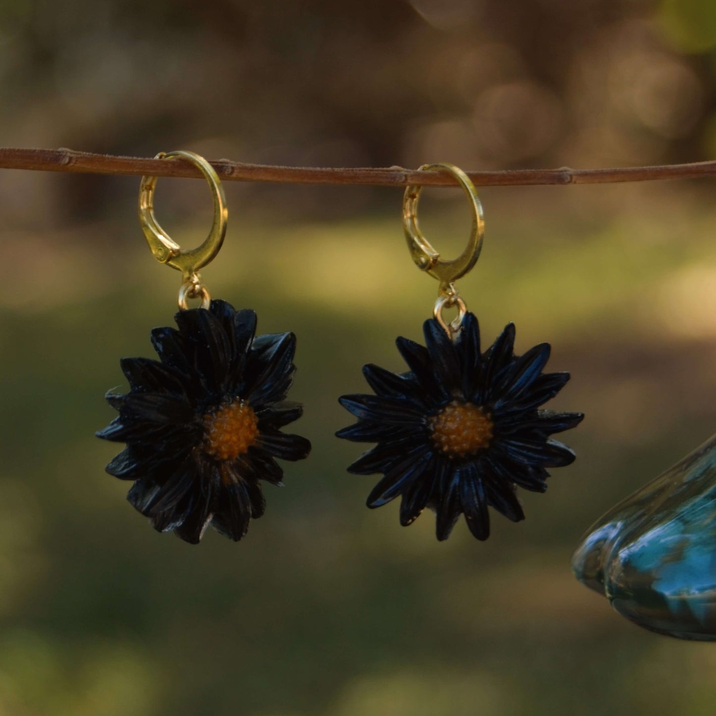 Black Daisy